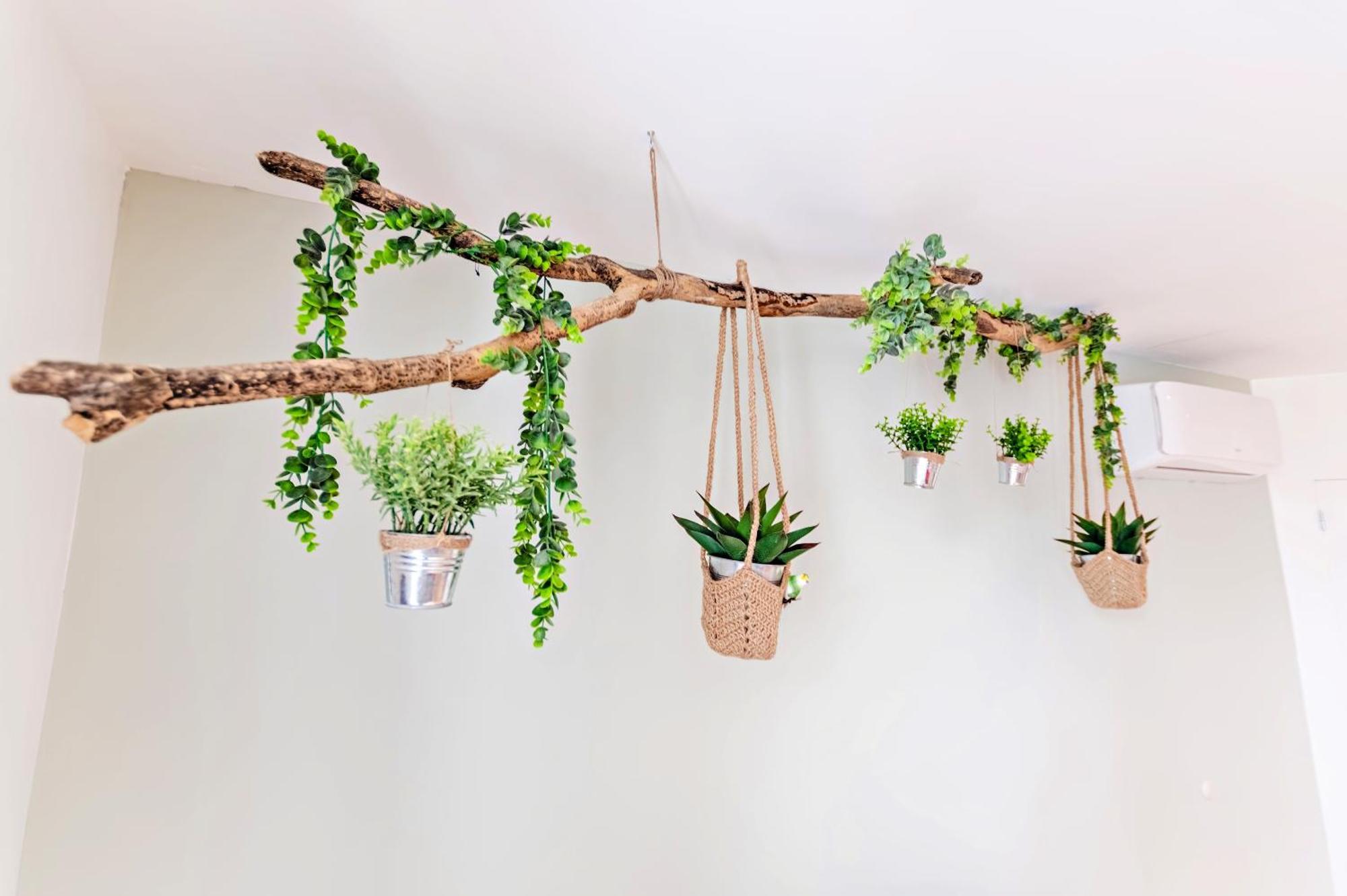 Chez Quentin & Thibaut Apartment Dagneux Ngoại thất bức ảnh